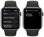 watchOS 6 Beta 2, Aggiornamento Software